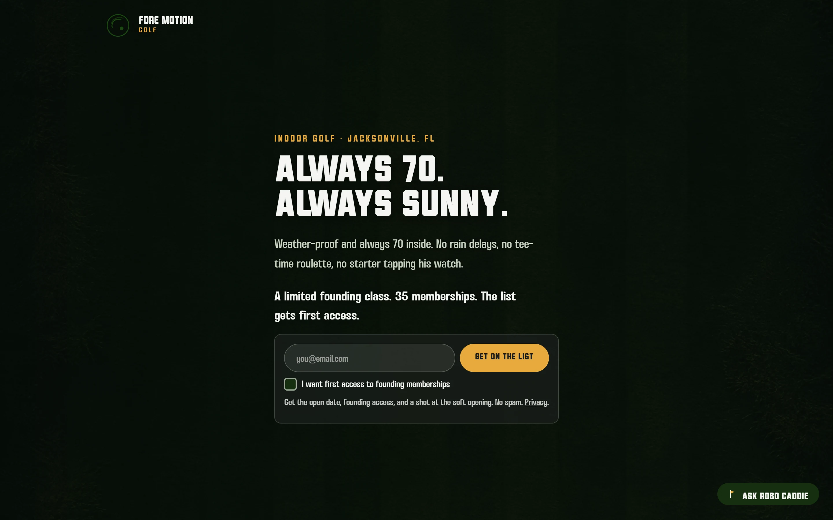 Fore Motion Golf website screenshot